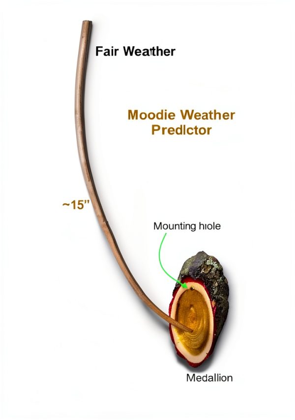 Moodie Weather Stick Weathervane Handcrafted Wooden Garden Decor-0